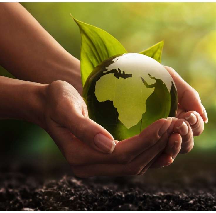 Cosmética natural y Bio certificada sostenible: súmate a un mundo más verde